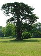 2006-0608-1207-56.jpg